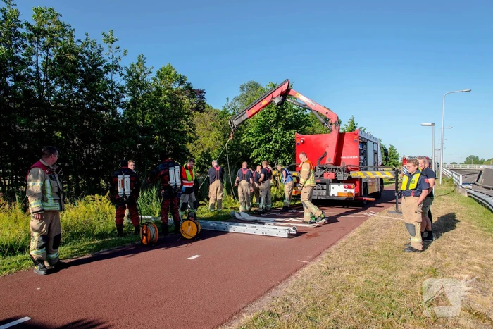 Paard in sloot overleden
