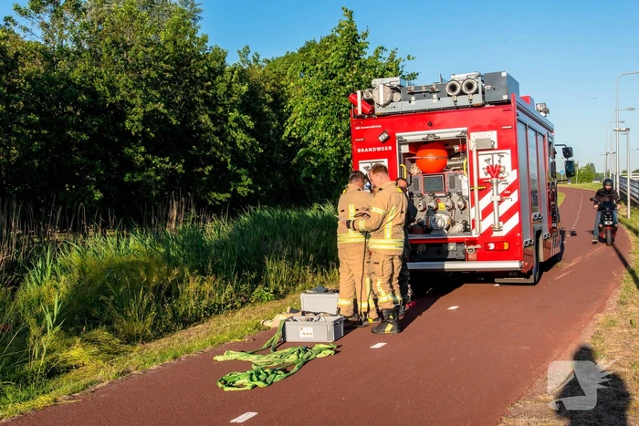 Paard in sloot overleden