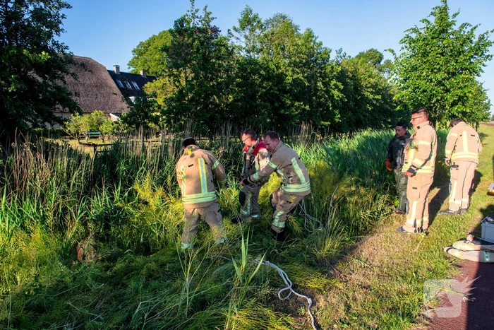 Paard in sloot overleden