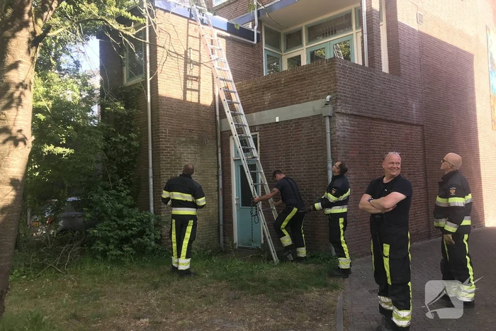 Kat vlucht van dak bij het zien van de brandweer