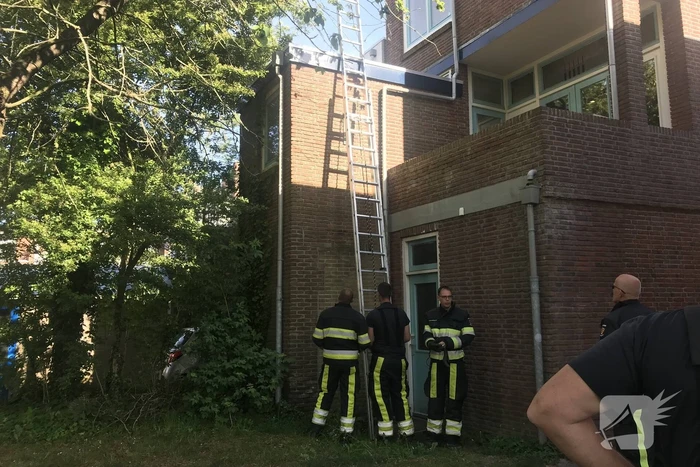 Kat vlucht van dak bij het zien van de brandweer