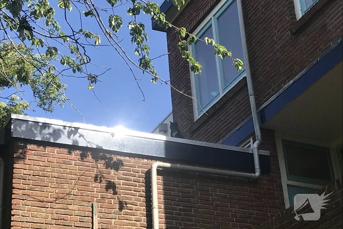 Kat vlucht van dak bij het zien van de brandweer