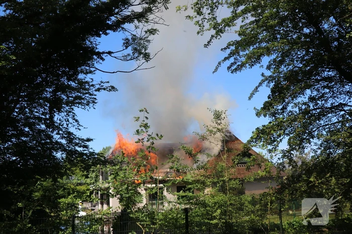 Uitslaande brand in rietendak van woning