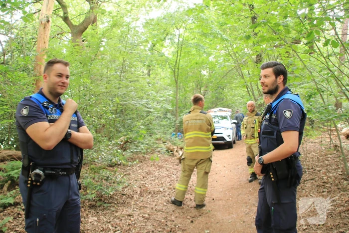 Drugsdumping blijkt drinkwater voor schapen