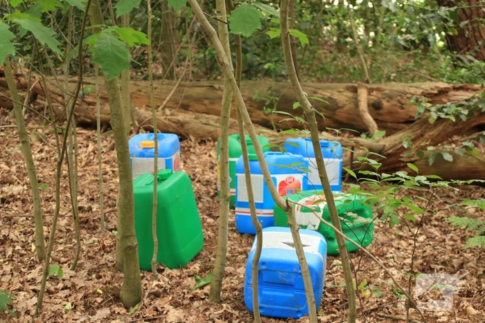 Drugsdumping blijkt drinkwater voor schapen