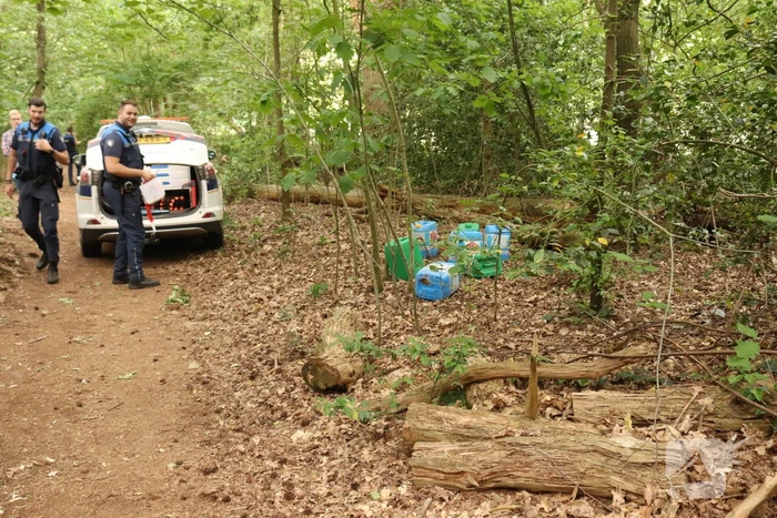 Drugsdumping blijkt drinkwater voor schapen