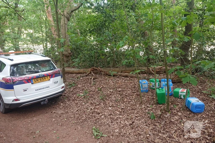 Drugsdumping blijkt drinkwater voor schapen