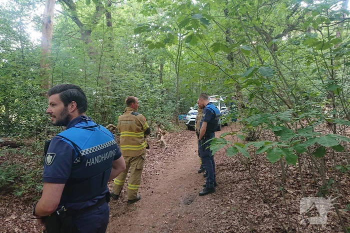 Drugsdumping blijkt drinkwater voor schapen