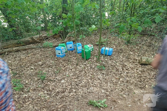 Drugsdumping blijkt drinkwater voor schapen