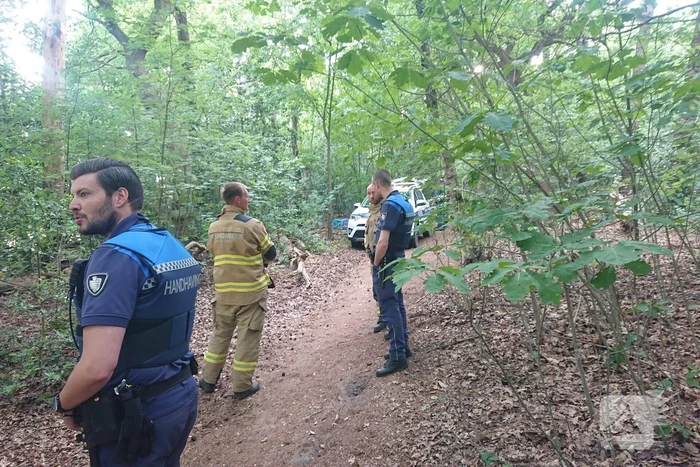 Drugsdumping blijkt drinkwater voor schapen