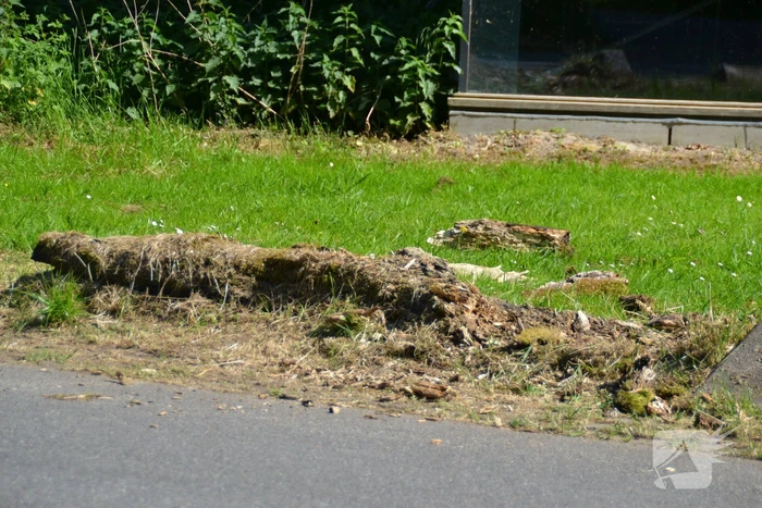 Brandende boomstronk snel geblust door omstanders