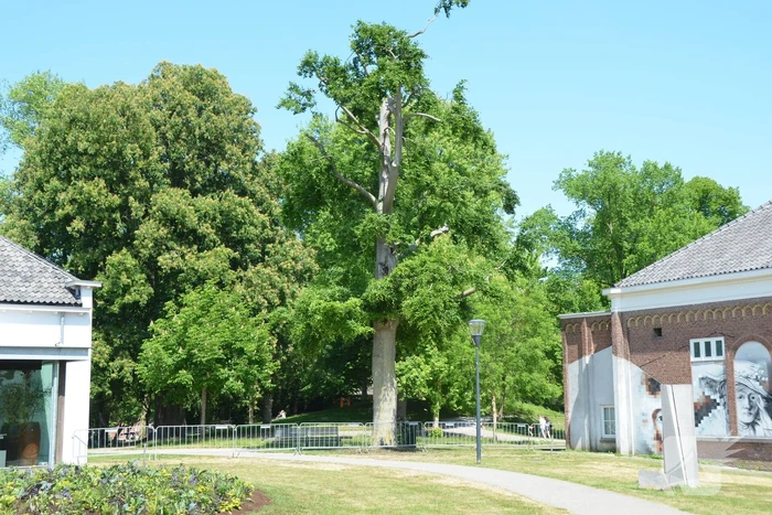 Stadspark afgesloten vanwege corona maatregelen