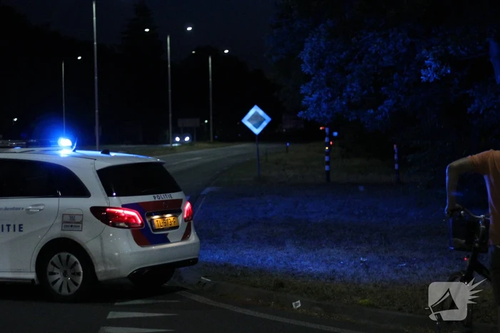 Automobilist (18) overleden na crash tegen boom