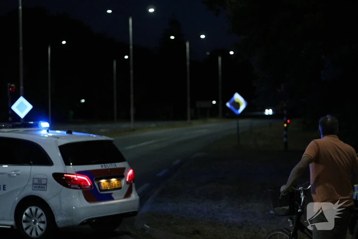 Automobilist (18) overleden na crash tegen boom