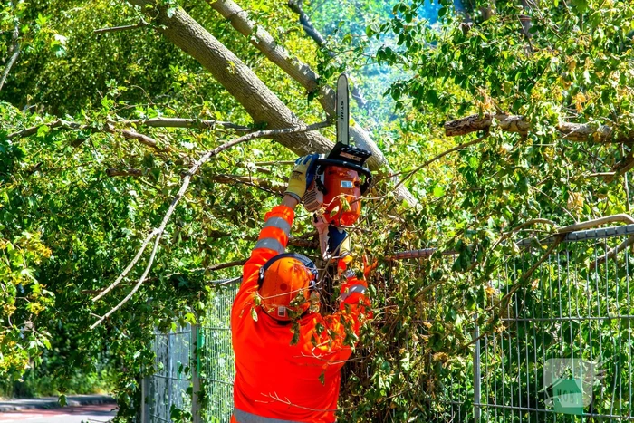 Brandweer verwijderd scheef hangende boom