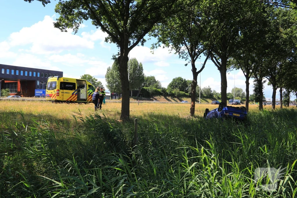 Hoogland