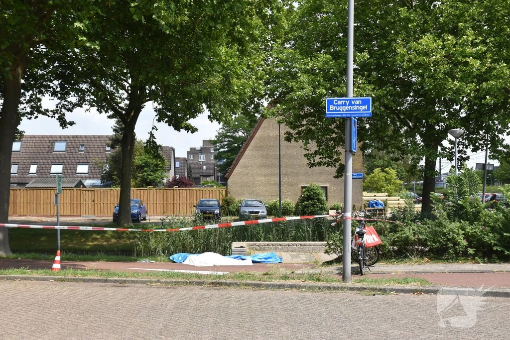 Carry van Bruggensingel Nieuws Rotterdam 
