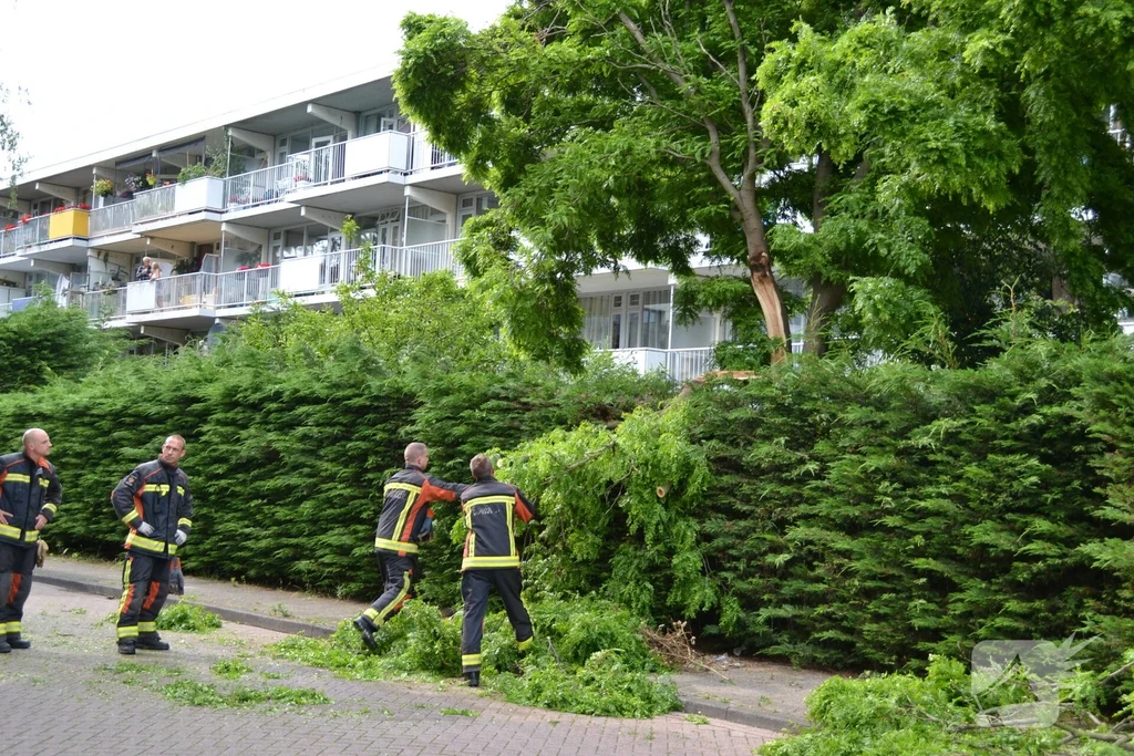 Kiekendiefhorst 112 nieuws Leiden 