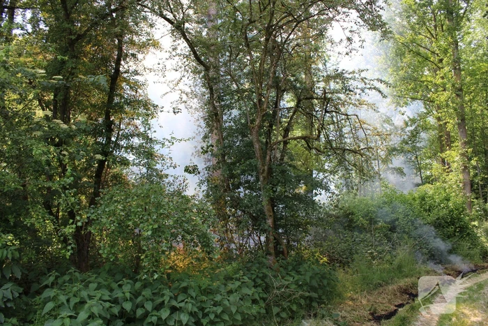 Veel rook bij brand in bosgebied