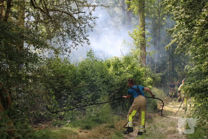 Veel rook bij brand in bosgebied