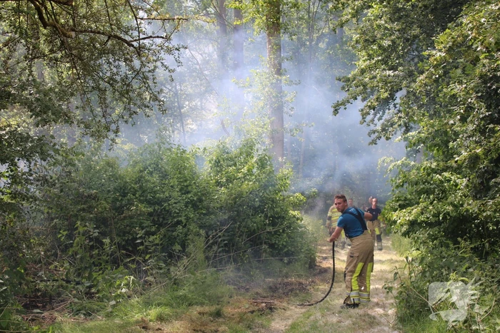Veel rook bij brand in bosgebied