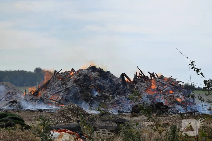 Grote hoop met bomen in brand