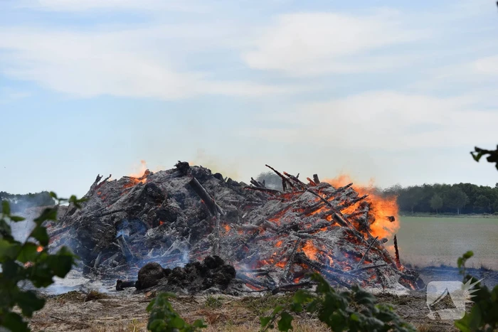 Grote hoop met bomen in brand