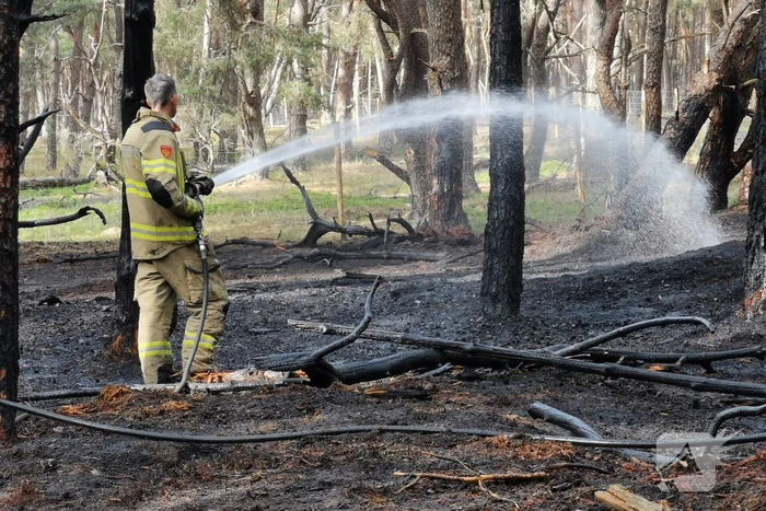 brand planken wambuisweg otterlo
