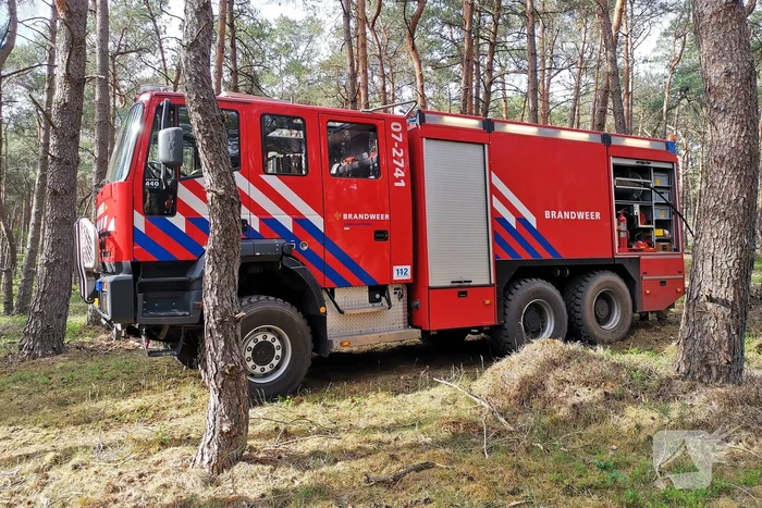 Groot stuk natuurgebied verwoest door brand