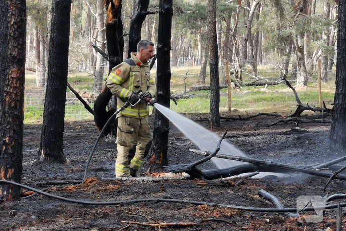 Groot stuk natuurgebied verwoest door brand