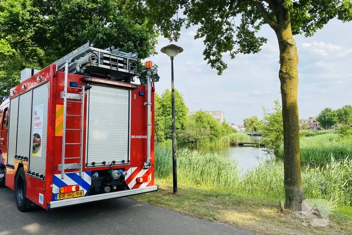 Omstanders doven vuur in park in Nieuwland