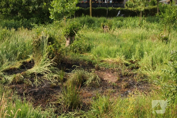 Omstanders doven vuur in park in Nieuwland