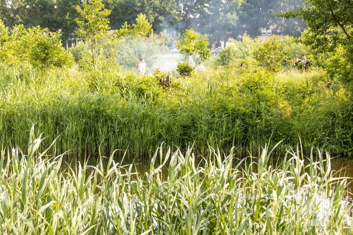 Omstanders doven vuur in park in Nieuwland