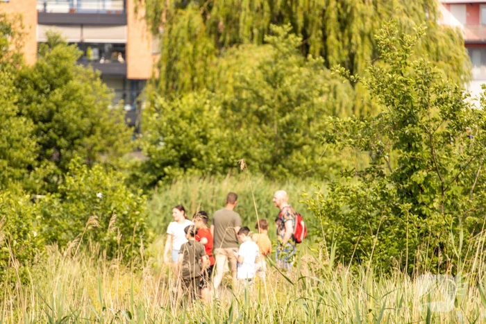 Omstanders doven vuur in park in Nieuwland
