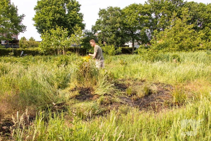 Omstanders doven vuur in park in Nieuwland