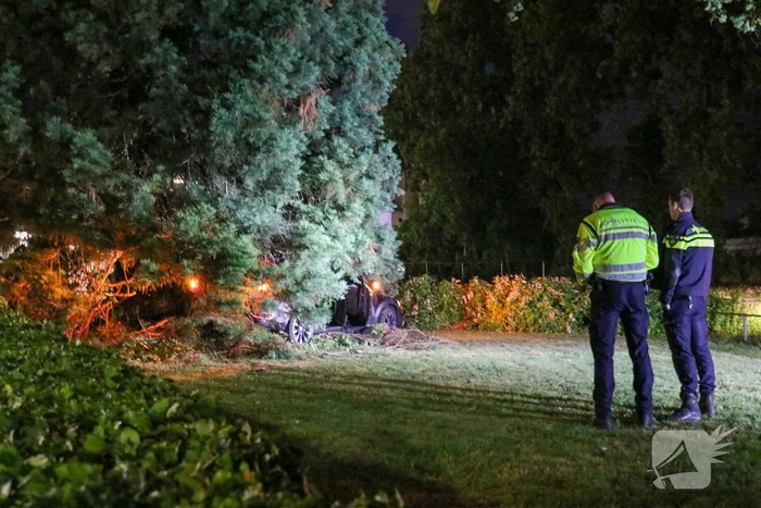 Automobilist vliegt uit de bocht en belandt in bosjes