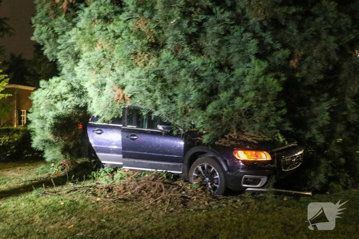 Automobilist vliegt uit de bocht en belandt in bosjes