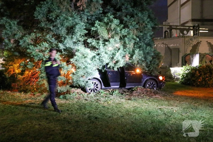Automobilist vliegt uit de bocht en belandt in bosjes