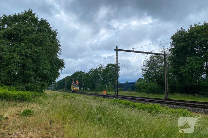 Geen treinverkeer door ooiervaarsnest in bovenleiding