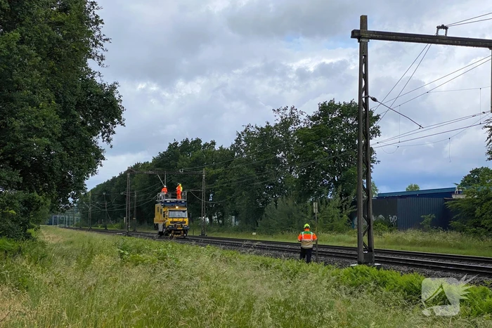 Geen treinverkeer door ooiervaarsnest in bovenleiding