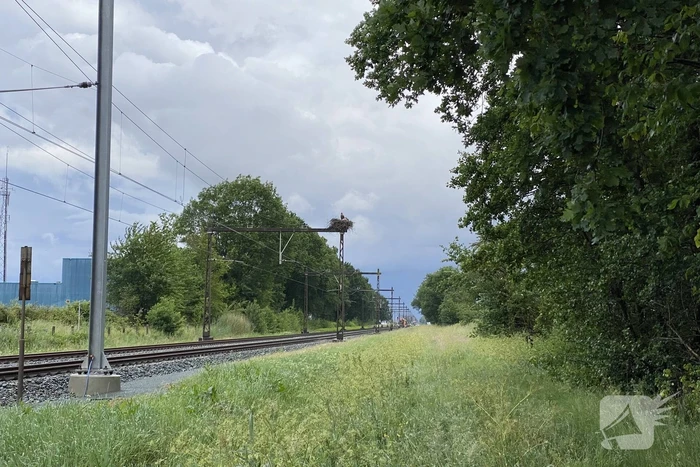 Geen treinverkeer door ooiervaarsnest in bovenleiding