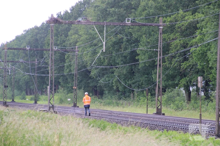 Geen treinverkeer door ooiervaarsnest in bovenleiding