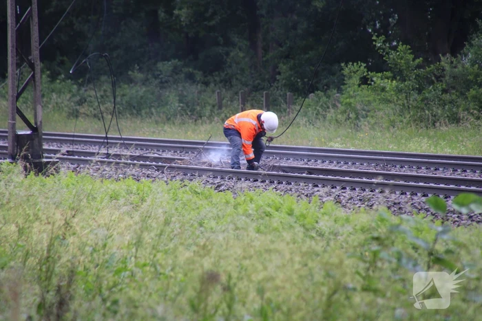 Geen treinverkeer door ooiervaarsnest in bovenleiding