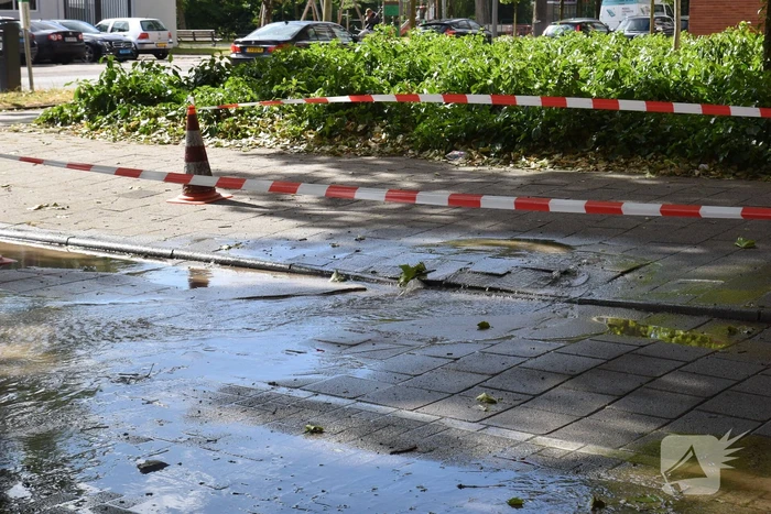 Straat blank na gesprongen waterleiding in Charlois