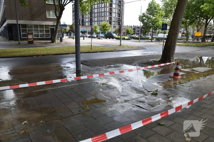 waterlekkage slinge rotterdam
