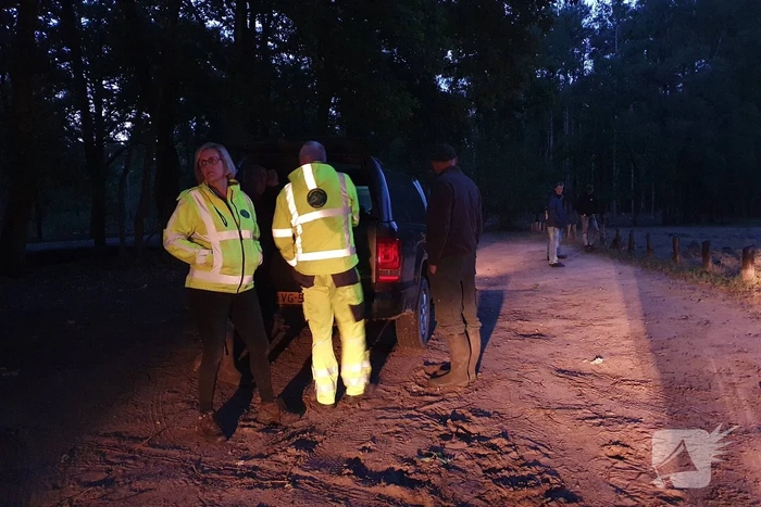 Wilde zwijntjes houden boswachter en dierenambulance bezig
