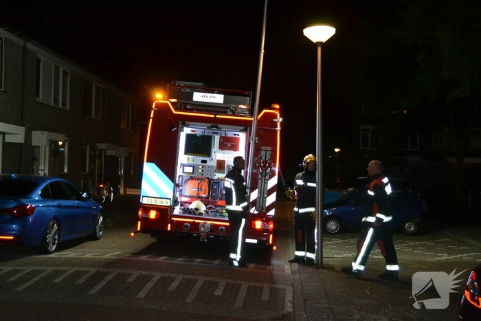 Brandweer haalt kat van het dak