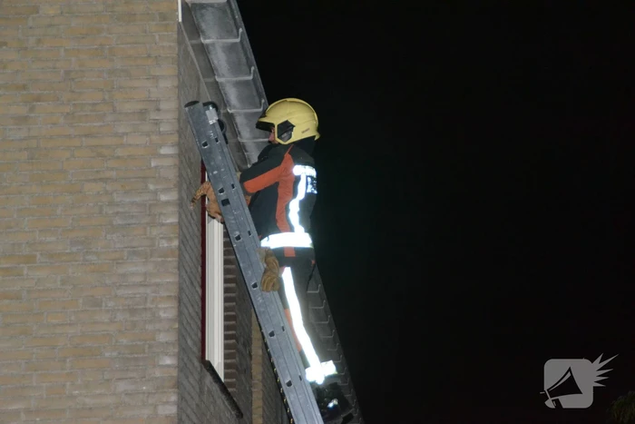 Brandweer haalt kat van het dak
