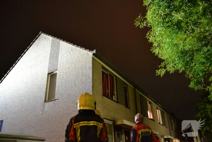 Brandweer haalt kat van het dak