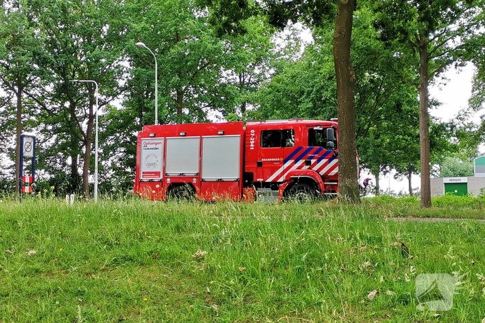 Aalscholver gaat met vishengel vandoor